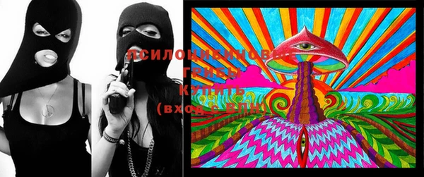 ECSTASY Абаза