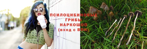 PSILOCYBIN Абинск